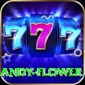 andy flower Games Pro