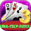 asia cup 2022 - Royal Edition v2.1.2