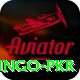 Bingo PKR Games (Casino & Earning) VIP v2.9.0