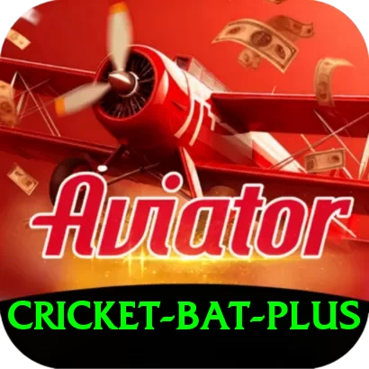 cricket bat - Casino King - 2