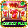 fastest ball in cricket - Casino Supreme