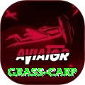 grass carp - Slots Royal