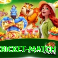 india cricket match Live Ultimate v1.2.8