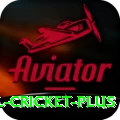international cricket Money Super v2.2.2