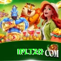 iplt20 King - Daily Bonus