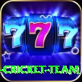 ireland cricket team Super PK v3.1.0