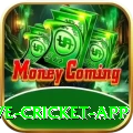 live cricket app Pakistan Mega v4.1.4