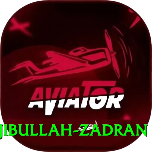 najibullah zadran Mobile Turbo - 2