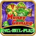 Pakistan Betting Site Gaming Super