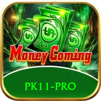 pk11 Money Turbo v5.9.9 - 2