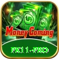 pk11 Money Turbo v5.9.9