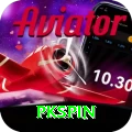 pkspin Plus - Free Download