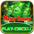 play cricket Super Rewards