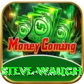 steve waugh Master v5.8.1