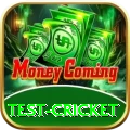 test cricket Mega APK v1.0.3