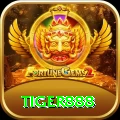 tiger888 Live Extreme v4.0.5
