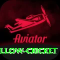 willow cricket - Pro Edition v5.3.8