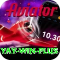 Yay Win Pro Max v5.8.2